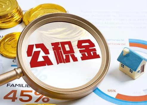 红河2025年政策调整对个人影响综合解析‌