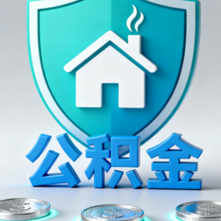红河公积金代办行业观察：谁在提供专业服务？